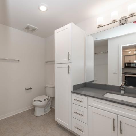 21599 West Field Court Deer Park IL 60010