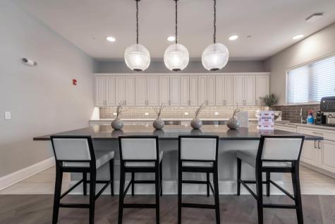 21599 West Field Court Deer Park IL 60010