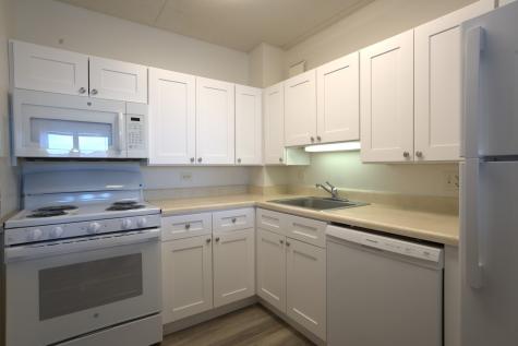 4645 West Belmont Avenue Chicago IL 60641