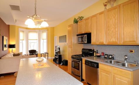 1746 West Ohio Street Chicago IL 60622