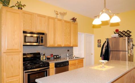 1746 West Ohio Street Chicago IL 60622