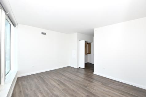 1000 South Michigan Avenue Chicago IL 60605