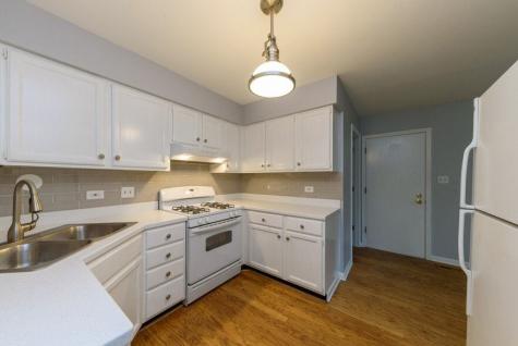 66 South Stonington Drive Palatine IL 60074