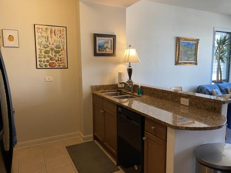 130 North Garland Court Chicago IL 60603
