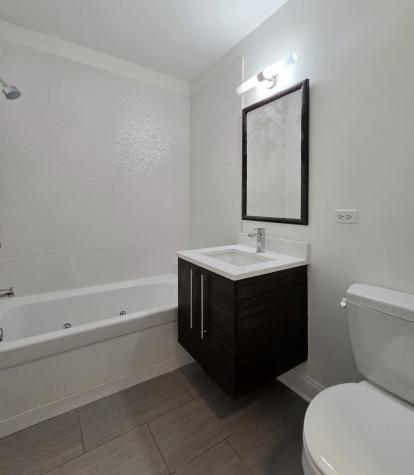 1537 North Orleans Avenue Chicago IL 60610