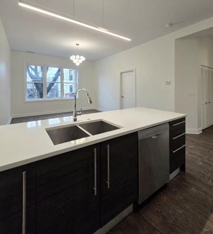 1537 North Orleans Avenue Chicago IL 60610