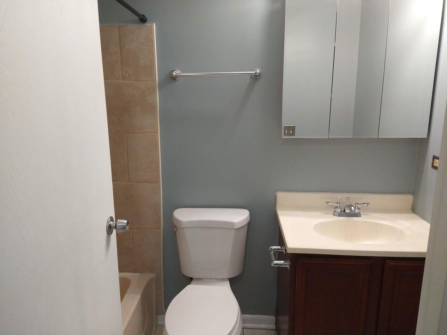 2260 Abbeywood Drive Lisle IL 60532
