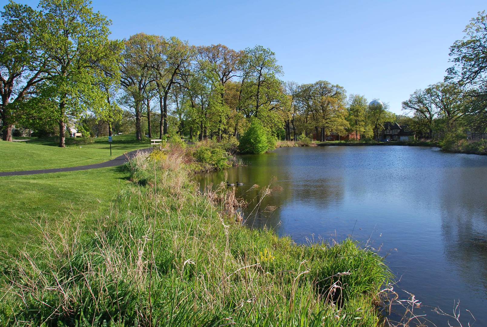 2260 Abbeywood Drive Lisle IL 60532