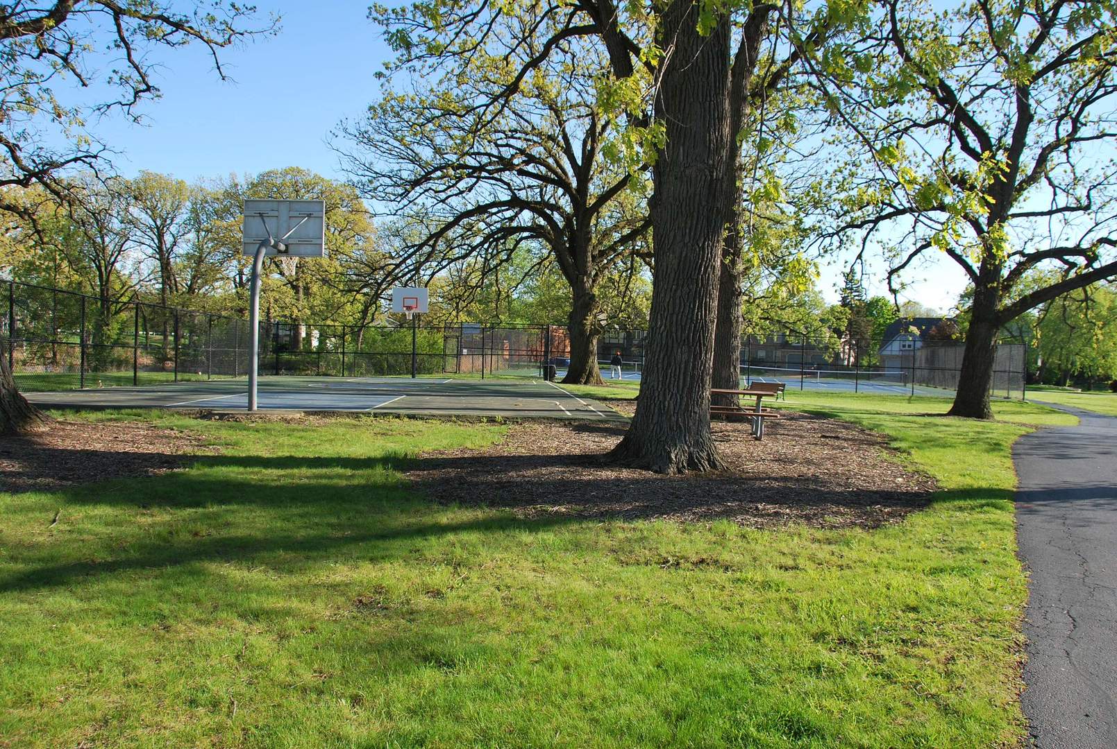 2260 Abbeywood Drive Lisle IL 60532