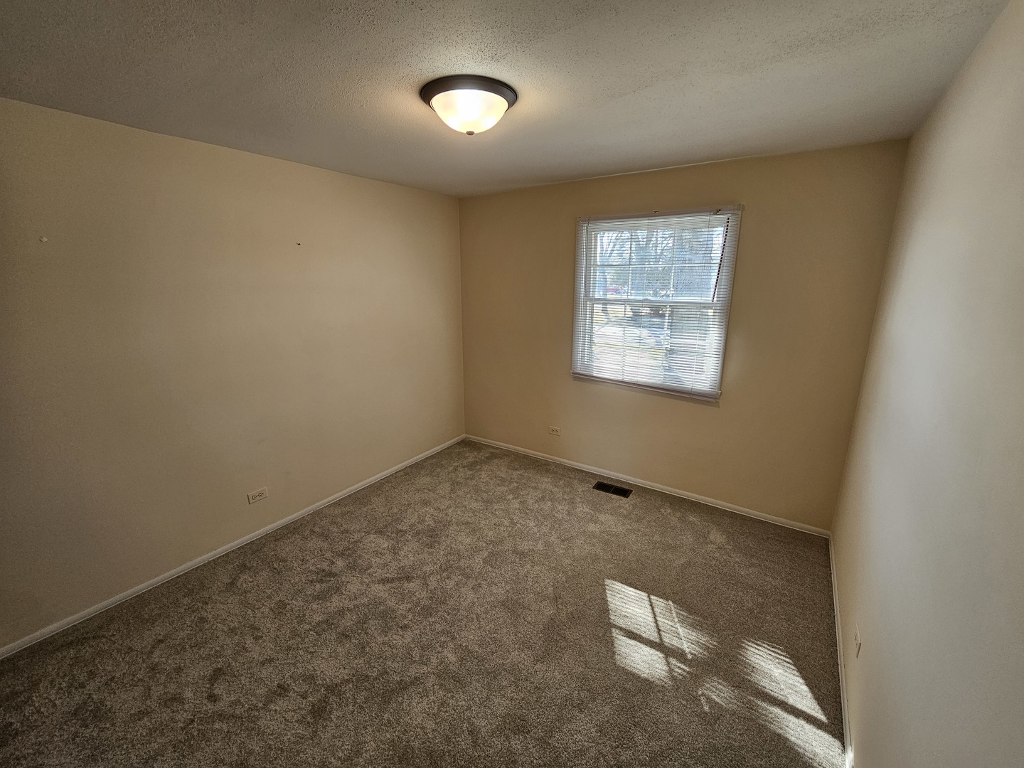 1828 Cannon Court Schaumburg IL 60193