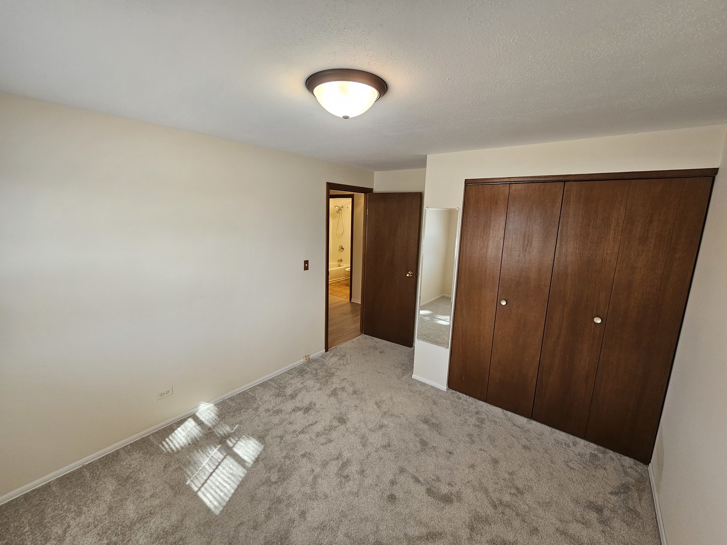 1828 Cannon Court Schaumburg IL 60193