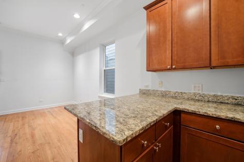 1725 West Ellen Street Chicago IL 60622