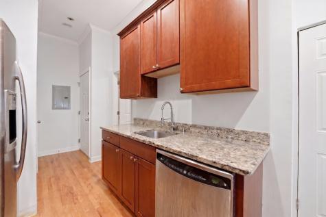 1725 West Ellen Street Chicago IL 60622