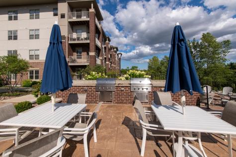 21599 West Field Court Deer Park IL 60010