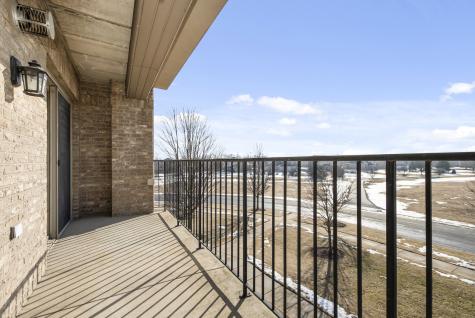 14130 Sheffield Drive Homer Glen IL 60491
