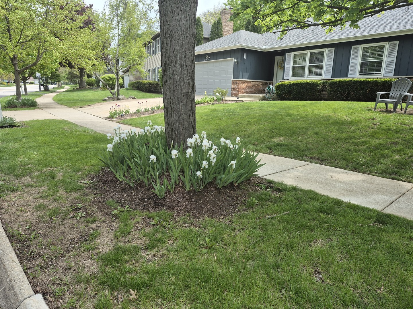1332 East Bailey Road Naperville IL 60565