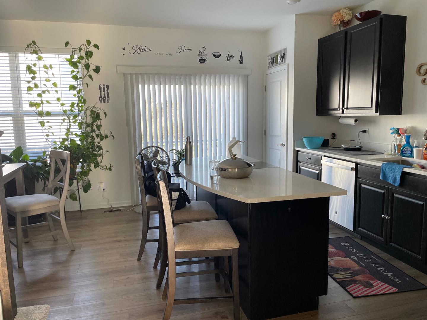 529 Wolverine Drive Aurora IL 60502