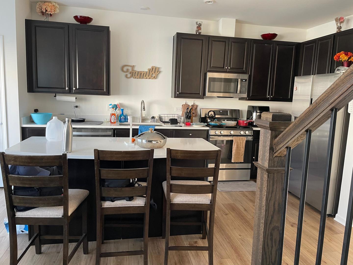 529 Wolverine Drive Aurora IL 60502
