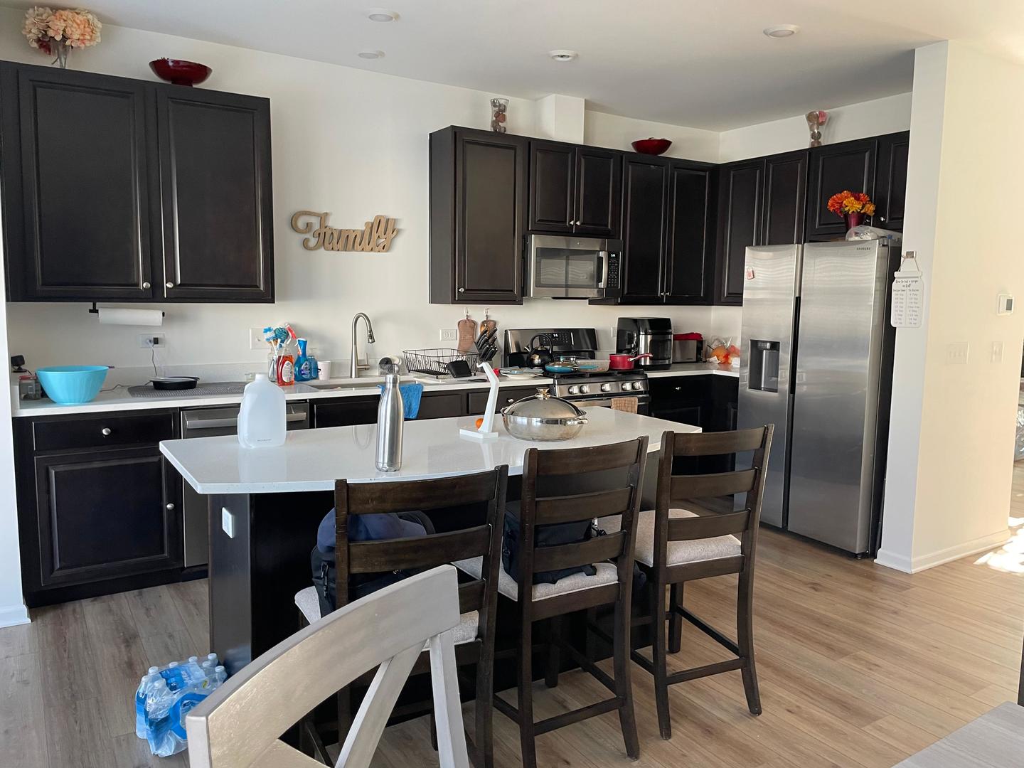 529 Wolverine Drive Aurora IL 60502