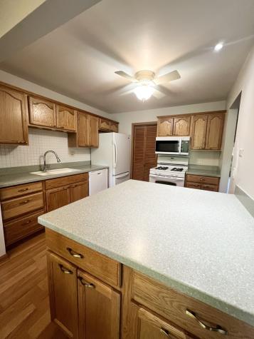 1106 Wildberry Court Wheeling IL 60090