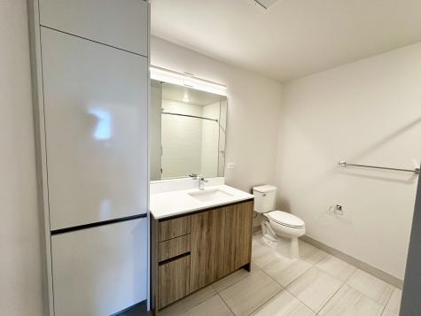 313 West Wolf Point Plaza Chicago IL 60654