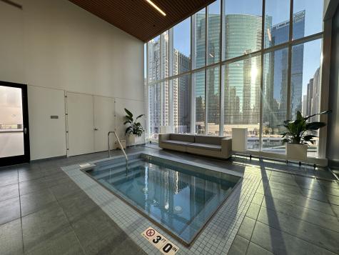 313 West Wolf Point Plaza Chicago IL 60654