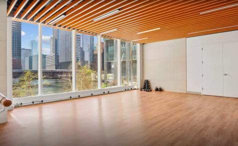 313 West Wolf Point Plaza Chicago IL 60654