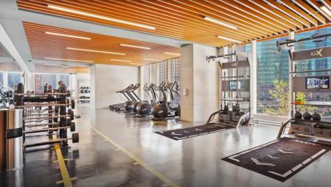 313 West Wolf Point Plaza Chicago IL 60654