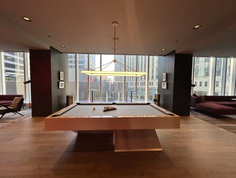 313 West Wolf Point Plaza Chicago IL 60654