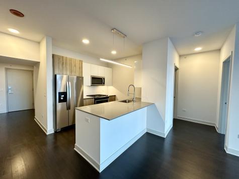 313 West Wolf Point Plaza Chicago IL 60654