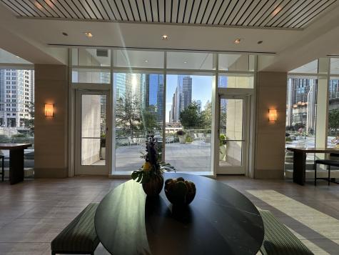 313 West Wolf Point Plaza Chicago IL 60654