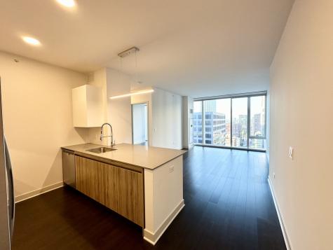 313 West Wolf Point Plaza Chicago IL 60654