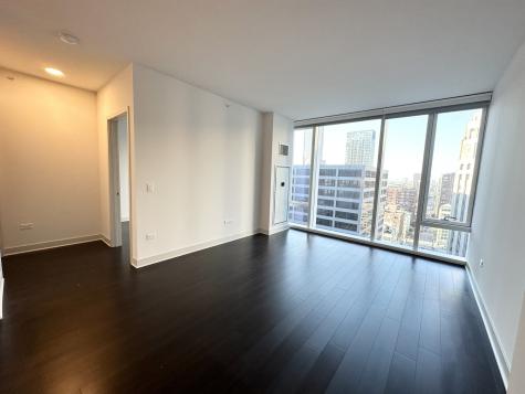 313 West Wolf Point Plaza Chicago IL 60654