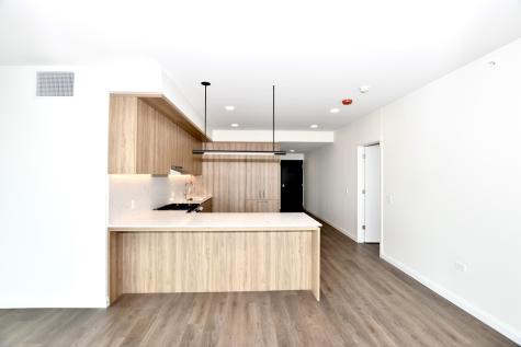 1000 South Michigan Avenue Chicago IL 60605
