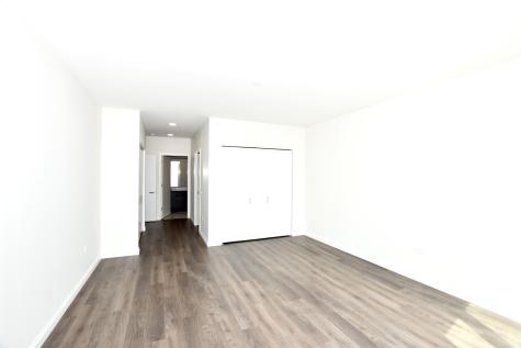 1000 South Michigan Avenue Chicago IL 60605