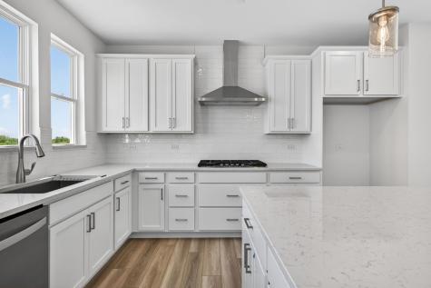 2635 Lohan Way Hoffman Estates IL 60192