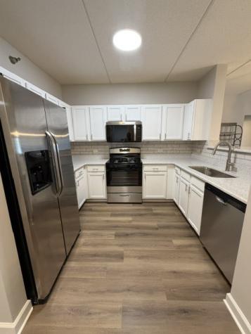 390 West Mahogany Court Palatine IL 60067