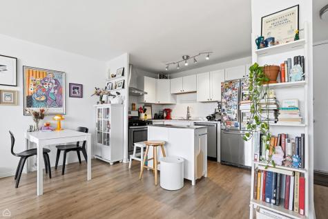 1450 East 55th Place Chicago IL 60637