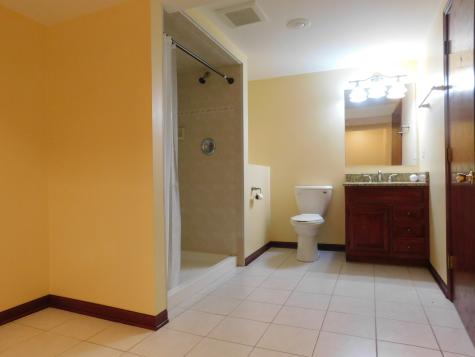 16501 Nottingham Court Orland Park IL 60467