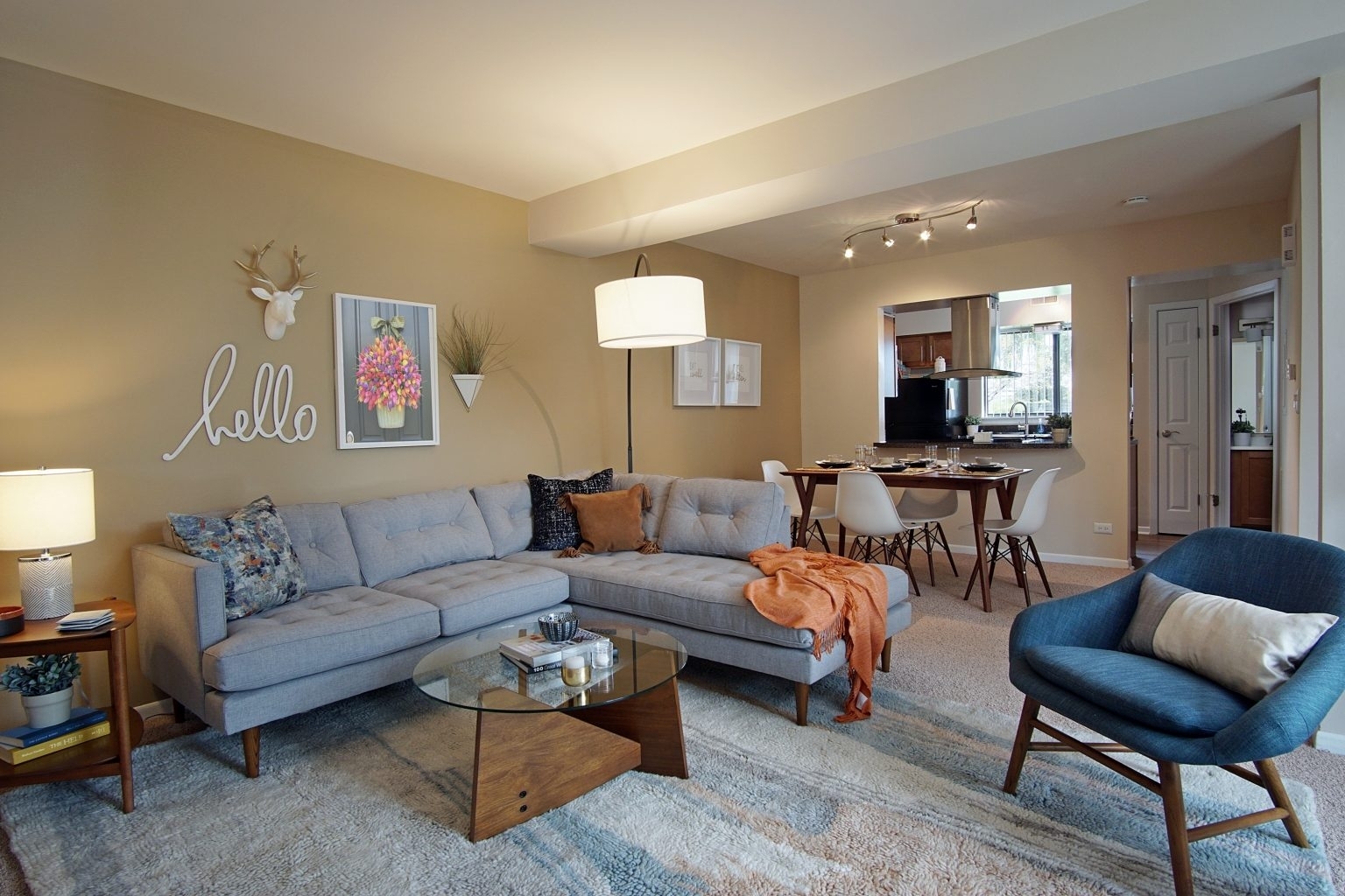 1507 Westminster Drive Naperville IL 60563