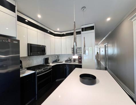 3839 North Hamlin Avenue Chicago IL 60618