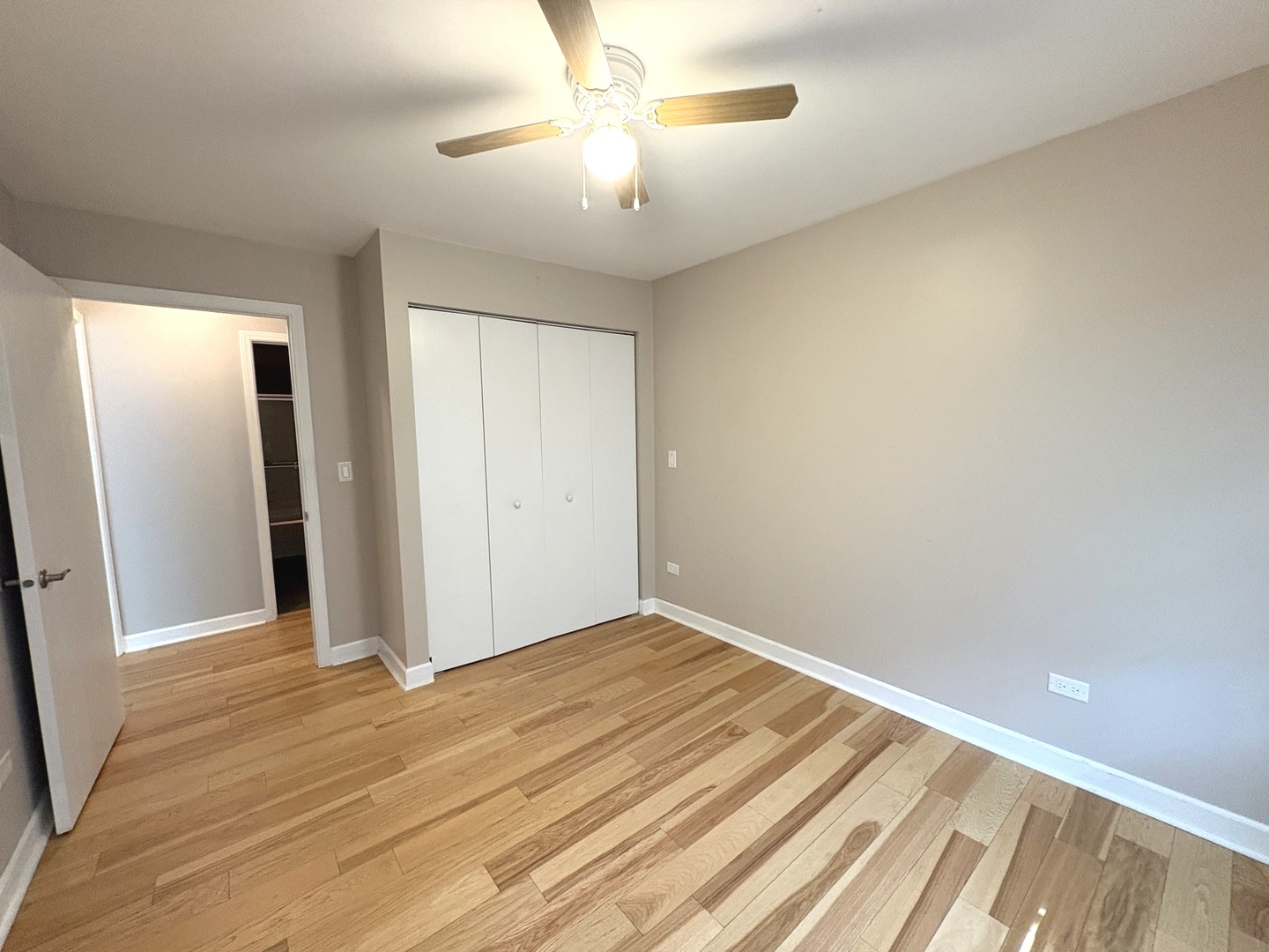 258 Odlum Court Schaumburg IL 60194