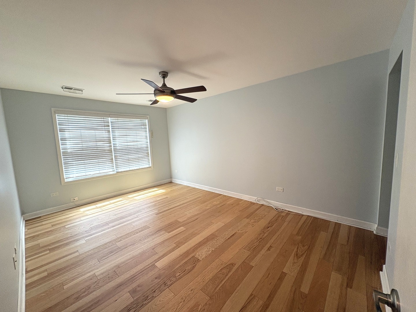 258 Odlum Court Schaumburg IL 60194