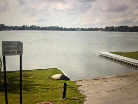 33458 North Evergreen Drive Grayslake IL 60030