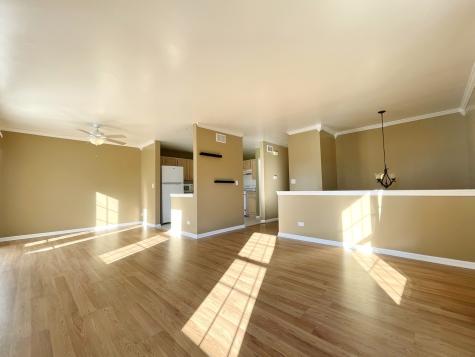 341 Holiday Lane Hainesville IL 60073