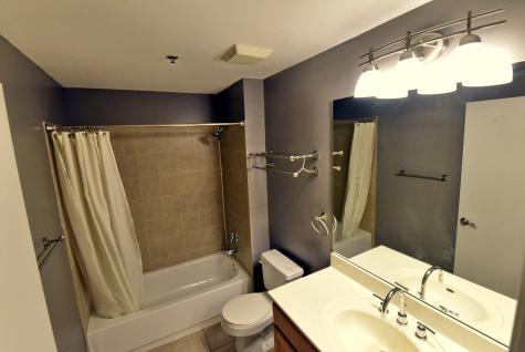 1305 South Michigan Avenue Chicago IL 60605