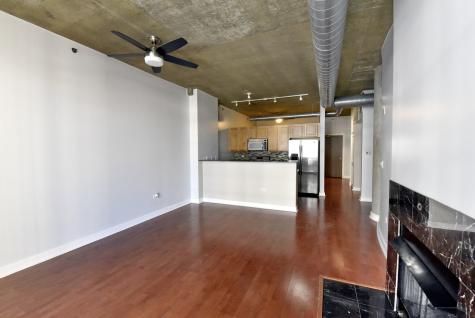 1305 South Michigan Avenue Chicago IL 60605