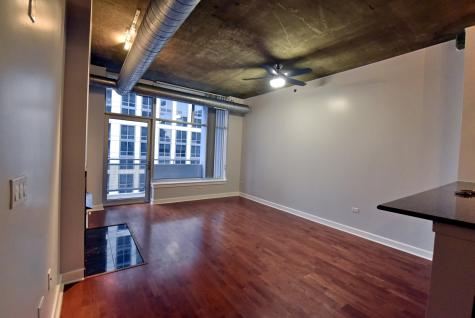 1305 South Michigan Avenue Chicago IL 60605