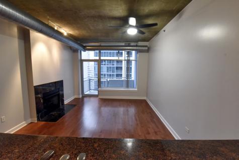 1305 South Michigan Avenue Chicago IL 60605