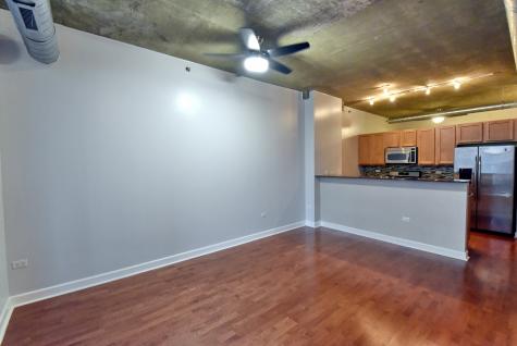 1305 South Michigan Avenue Chicago IL 60605